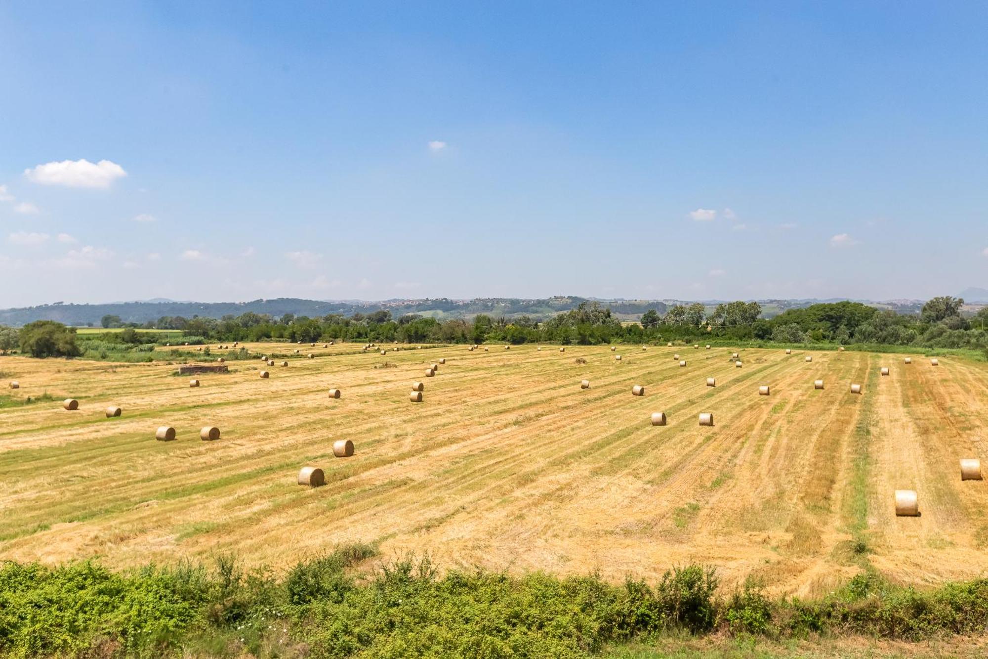 Homesweethome Near Rome مونتيروتوندو المظهر الخارجي الصورة